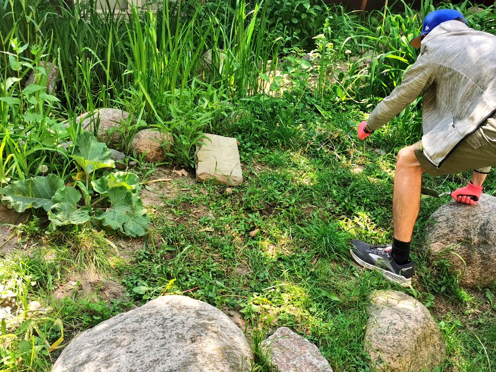 C.McConnell tweet media