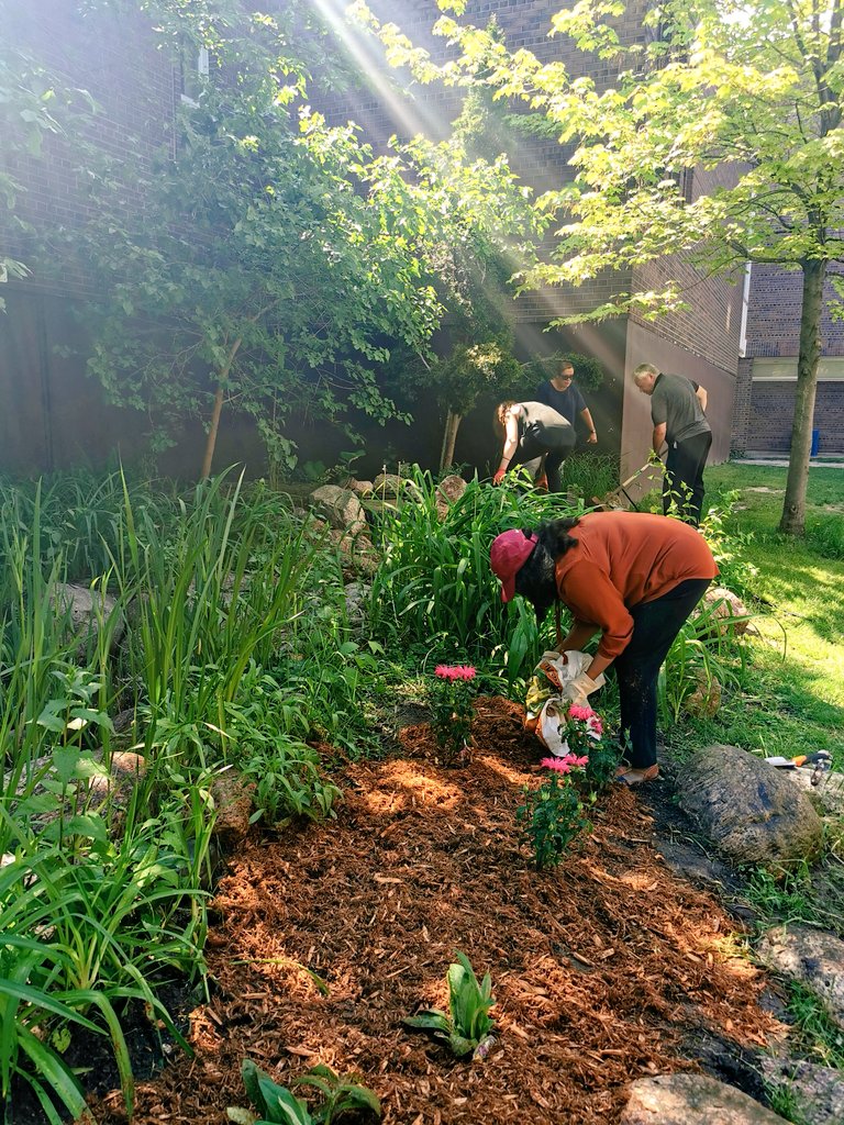 C.McConnell tweet media