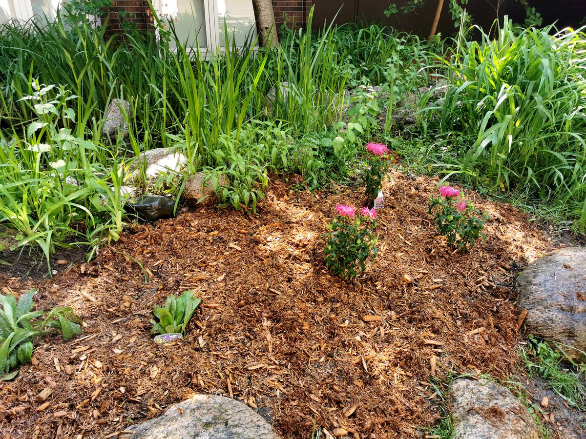 C.McConnell tweet media