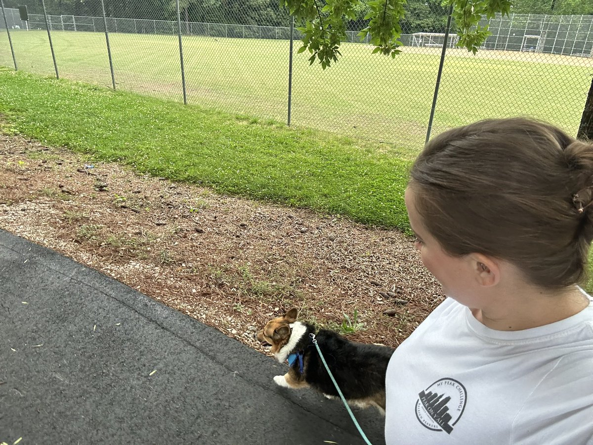 <a href="/MyPeakChallenge/">My Peak Challenge</a> <a href="/SamHeughan/">Sam Heughan</a> #PeakerPet Lu and I got out in between the rain. My weather was probably a D- but at least it wasn’t pouring for a little while! <a href="/PeakersRaleigh/">Raleigh Peakers</a>