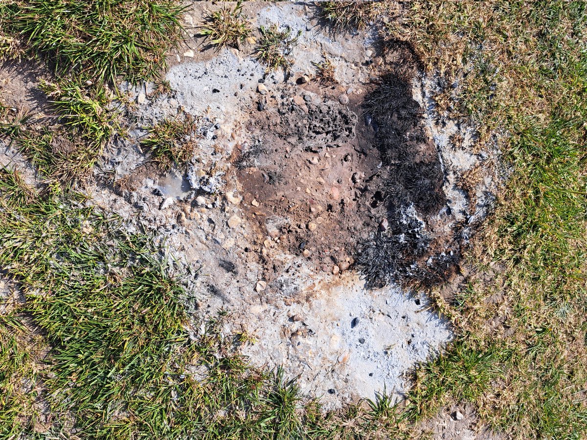 The remains &amp; damage from a BBQ at Longslade Bottom this afternoon. <a href="/NewForestNPA/">New Forest NPA</a> &amp; <a href="/EngNewForest/">The New Forest - Forestry England</a> colleagues had similar elsewhere 😞
Despite the #NewForest being on an amber wildfire alert 😠
Despite BBQ's &amp; other fires being banned at all times anyway 😡
#BringAPicnicNotABBQ