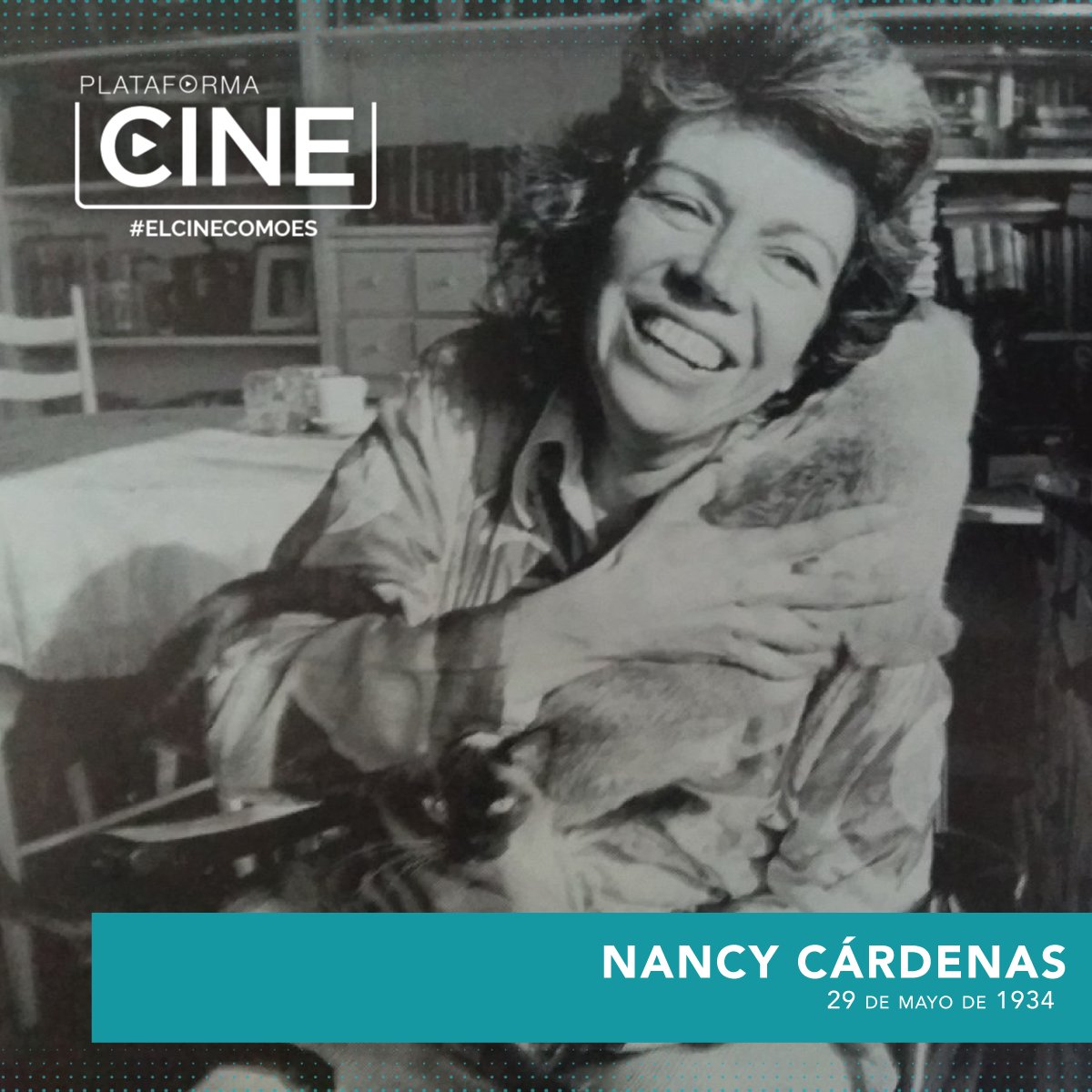 Hace 89 años nacía una mujer valiente que abrió camino hacia la lucha por los derechos de la población LGBTQ+ en México. Hoy en Plataforma Cine recordamos a Nancy Cárdenas.

Descubre más de ella en #QueridaNancy ⬇️⬇️⬇️

👀🎥🏳️‍🌈bit.ly/QueridaNancy