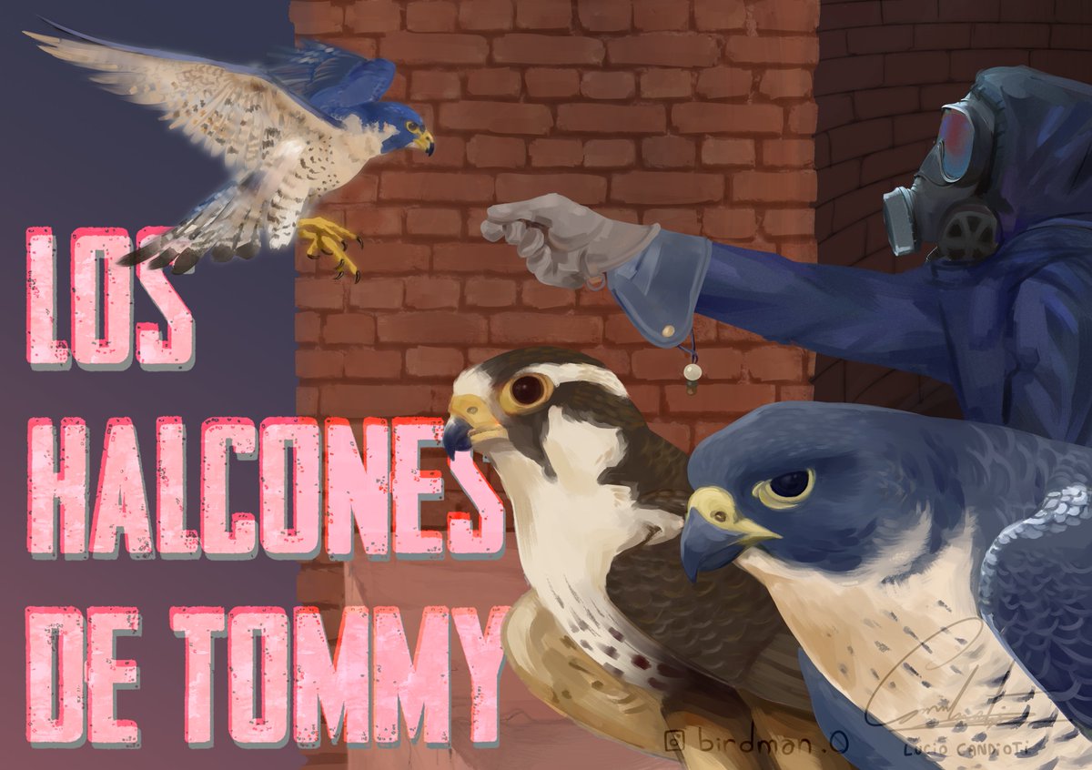 Digital painting inspired by the song 'Los Halcones de Tommy' by one of my fav bands Killer Burritos 
.
.
#killerburritos #artedigital #digitalart #falcon #bird