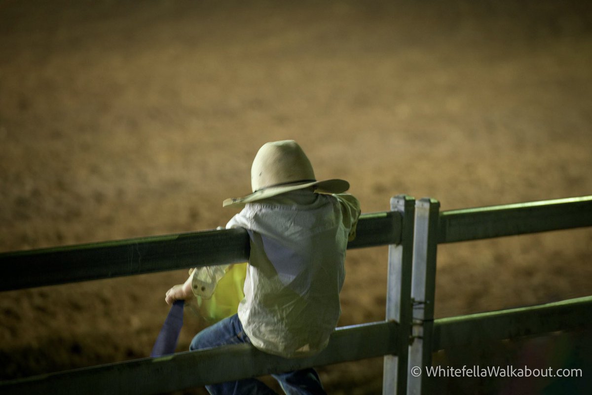 wfwalkabout's tweet photo. Spectator

Campdraft, Katherine, Northern Territory. Evening competition under lights. https://t.co/vuWOKQggsJ