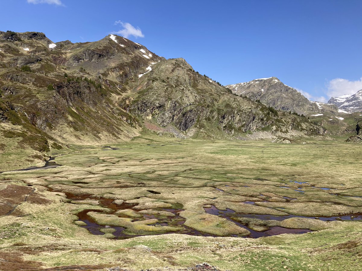 Carolina Olid tweet media