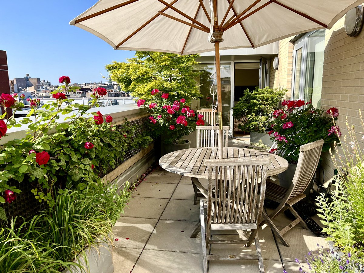 It’s been a good year for the roses! I just wanted to say that.