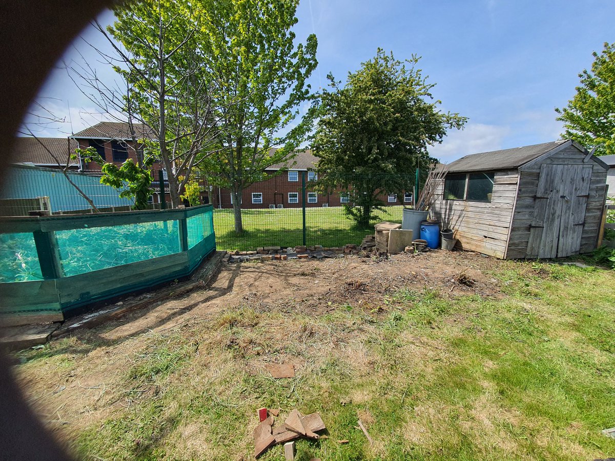 daveontheplot's tweet photo. Looking better now 👍#allotment #clearing #rubbishgone #weedsgone #fencing #allotmentlife #doubleplot #MakingADifference #progress #ThankYou #forlikes #happy #BankHolidayMonday https://t.co/1OZ8mjmkWf