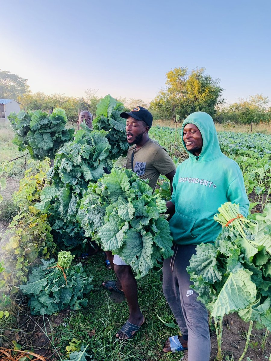 We will rise from the Rural Areas. 🙏🏿