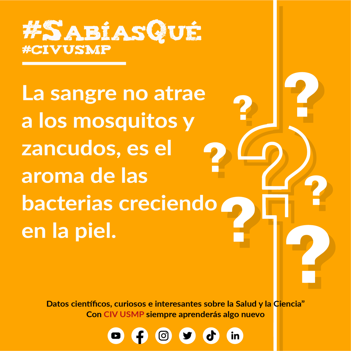 CIV_USMP's tweet photo. #SabiasQué #CIV #USMP
Mayor información: https://t.co/zVUuhPyMpm https://t.co/s11DAtqDuv