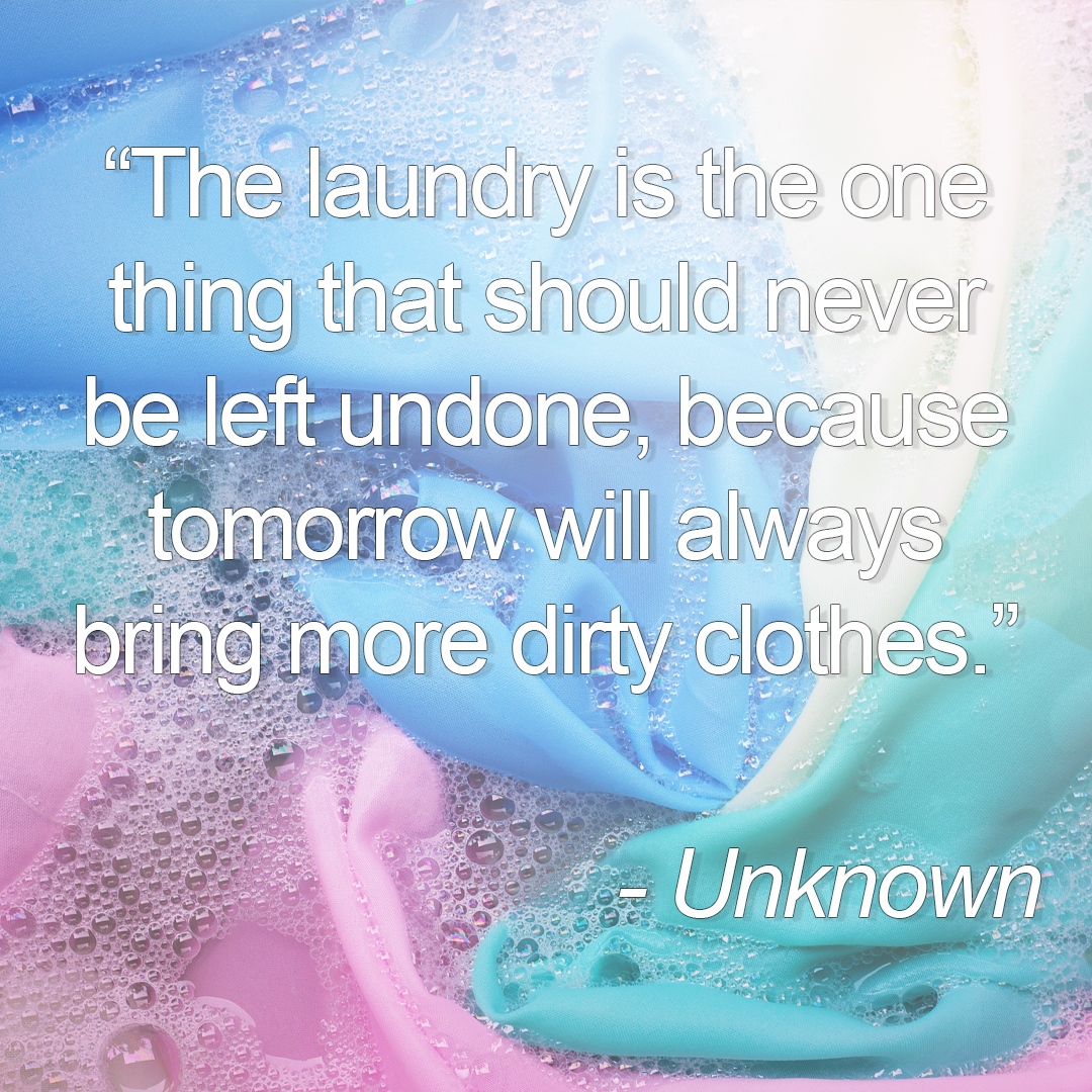 And we’ll be here for every tomorrow! ☀️ #Quote #wetcleaner #wetcleaners #wetcleaning #laundryservice #wetcleaningservice #washandfold