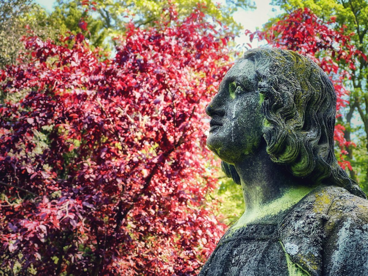 “Colors are the smiles of nature.“ (Leigh Hunt)

#StatuePhotography
#AncientArt
#RedBushBackground
#SculptureLovers
#HeritageBeauty
#ArtisticCapture
#VintageVibes
#HistoricalSculpture
#NatureContrast
#OldWorldCharm
#RusticBackdrop
#CulturalTreasure
#TimelessArt
#ArtInNature