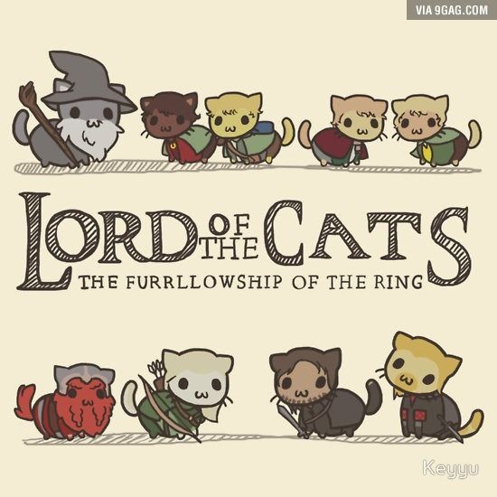 Awwwee 🥹❣️ 🥰🤭💍😻😻😻😻😻
#cats #lordofthecats #thefurrlowshipofthering #LOTR #TheLordOfTheRings #nerdstuff #nerdvibes #cute #cutenessoverload