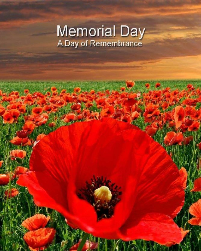 CatherineM365's tweet image. Remembering our fallen heroes on Memorial Day and every day🌺 #MemorialDay #thankyouforyourservice