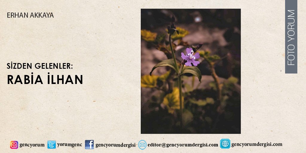 YorumGenc's tweet photo. Foto Yorum sayfamızda sizden gelen fotoğrafları yayınlamaya devam ediyoruz…
https://t.co/cS1S6Cq8KI
Editör: Erhan Akkaya
#dergi #gencyorum #sizdengelenler #fotoyorumgencyorum #fotoğraf https://t.co/bw9iIs4Zxl