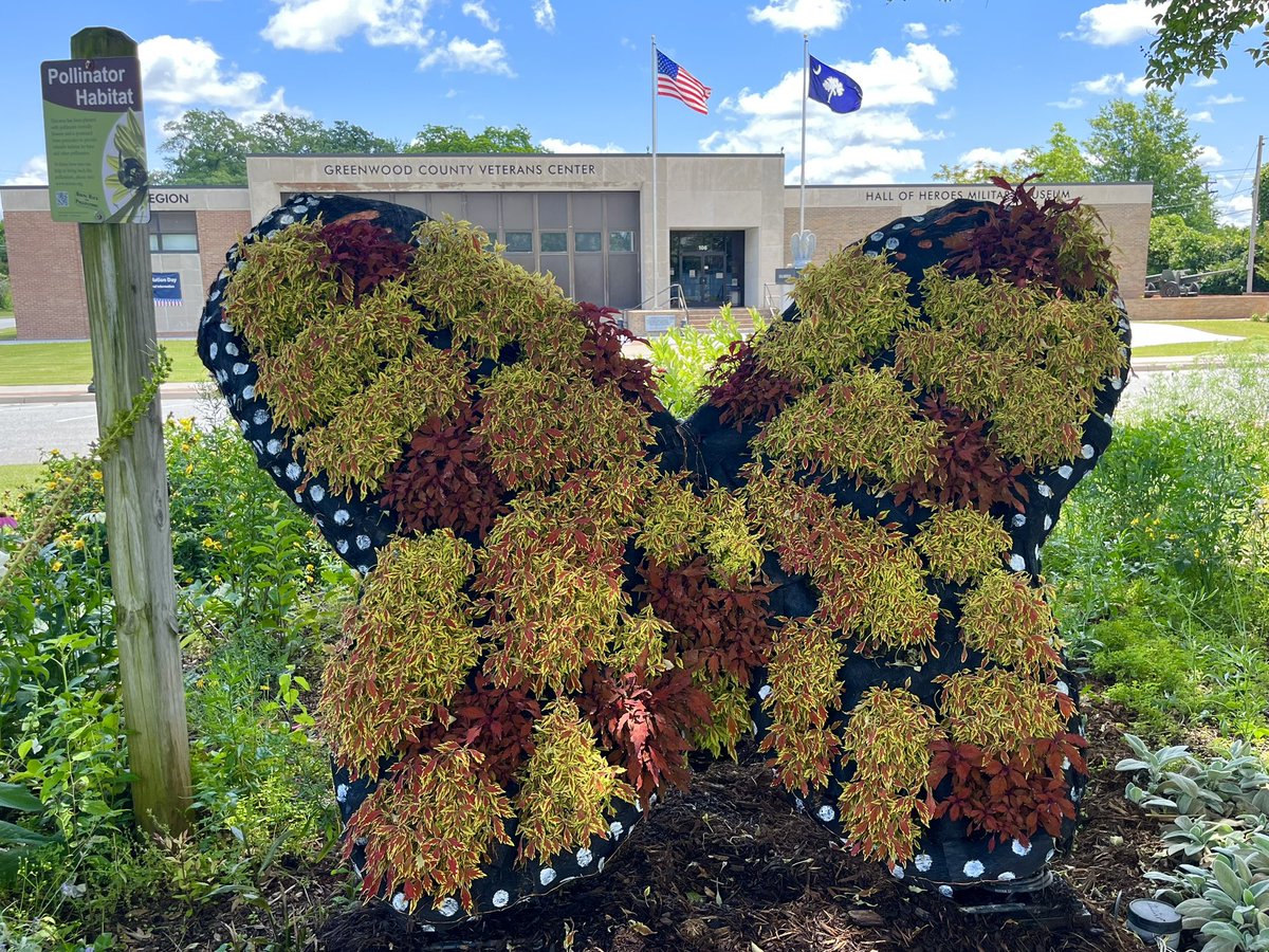 Greenwood County Veterans Center’s flags wave high and proud as we honor the brave men and women who have sacrificed everything for our country. 🇺🇸 Sweet Caroline flutters here for all to enjoy! #MemorialDay #Honor #Remember