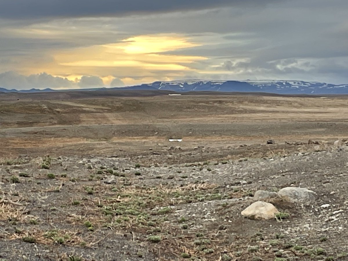MichelePeron3's tweet photo. Myvatn region, Iceland, when the sun is going down https://t.co/cxbZgrDuXb