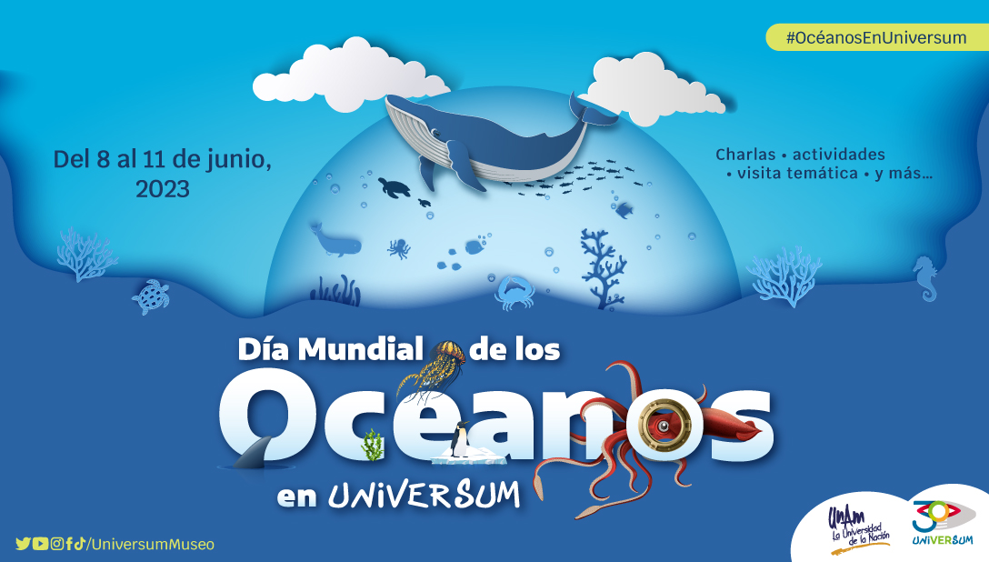 Divulgación de la Ciencia, UNAM (@dgdcunam) on Twitter photo El 8 de junio es el Día Mundial de los Océanos, y queremos invitarte a las actividades especiales de <a href="/UniversumMuseo/">Universum Museo</a>.
Del 8 al 11 de junio súmate a charlas, videos y visitas guiadas de la mano del Museo de las Ciencias de la UNAM: bit.ly/3MS0V4t
#OcéanosEnUniversum El 8 de junio es el Día Mundial de los Océanos, y queremos invitarte a las actividades especiales de <a href="/UniversumMuseo/">Universum Museo</a>.
Del 8 al 11 de junio súmate a charlas, videos y visitas guiadas de la mano del Museo de las Ciencias de la UNAM: bit.ly/3MS0V4t
#OcéanosEnUniversum