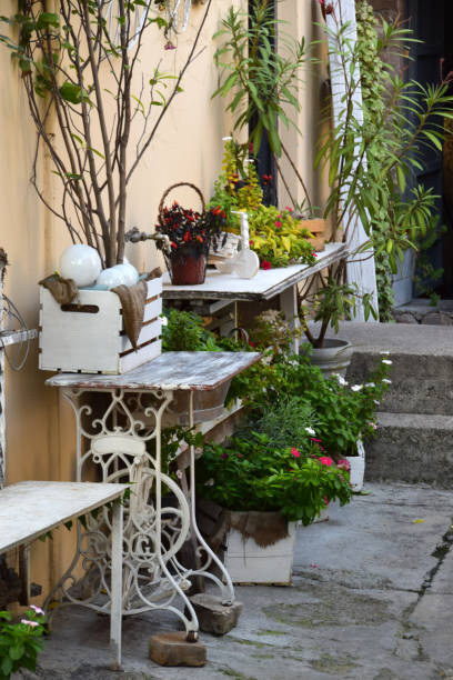 <a href="/AlfUgarte/">웃 ⓐⓛⓕⓞⓝⓢⓞツ🐟</a> Buenas tardes todavía,  con un espléndido sol...👋mil saludos...