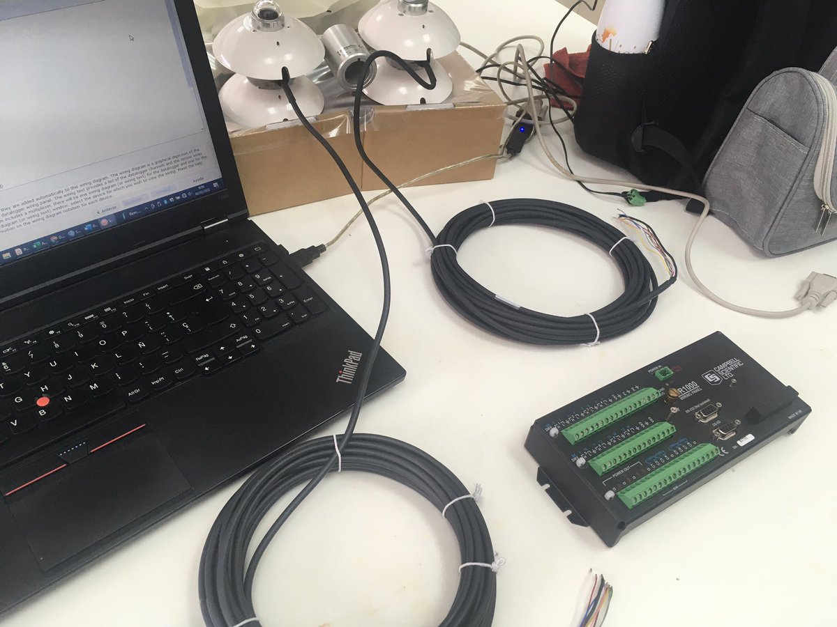 Dariana Ávila-Velásquez tweet media