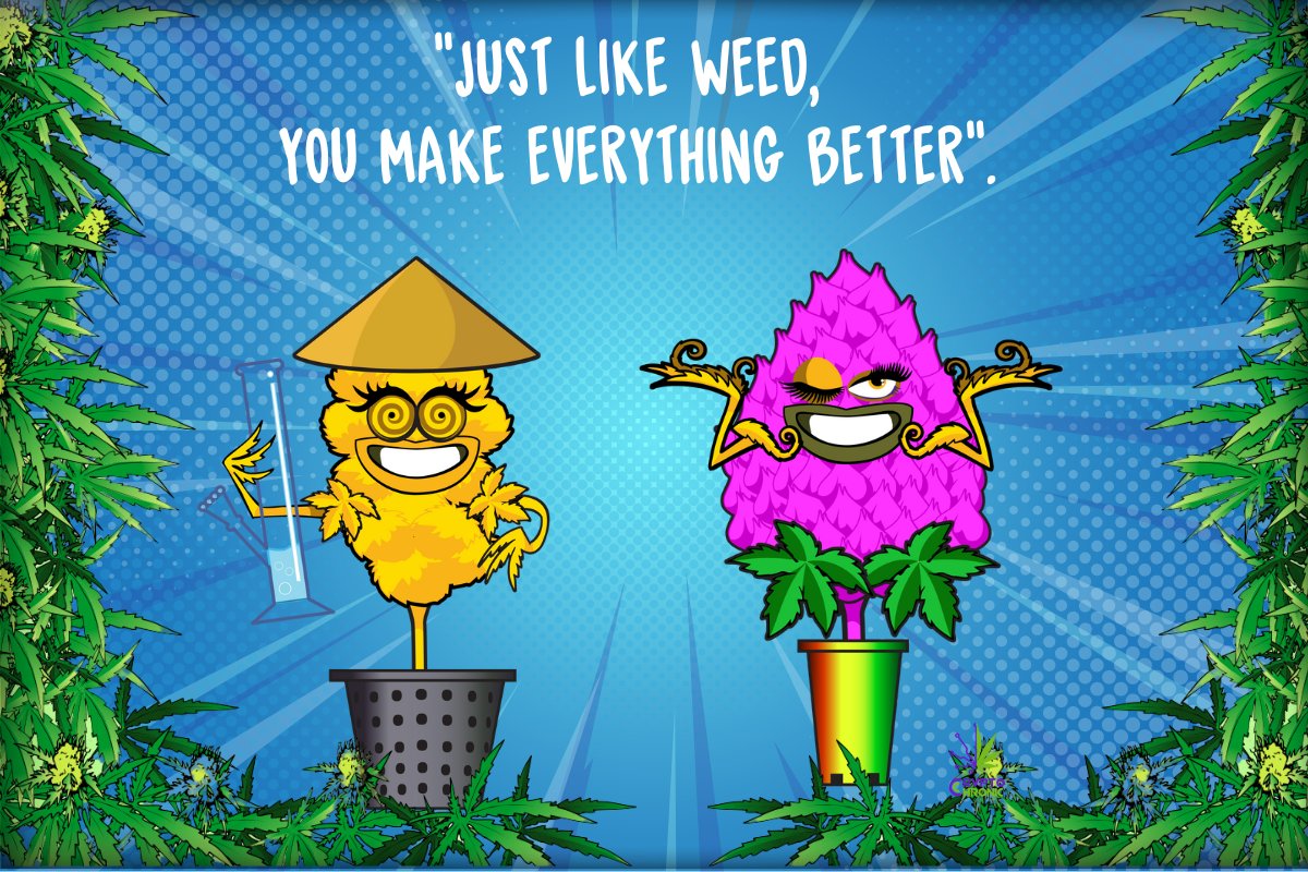 💯 «Just like weed, you make everything better» 💯

#gaming #NFT #CryptoChronics #CryptoChronicCannaverse #NFTProject #Cannaverse