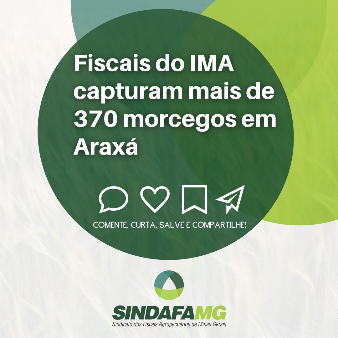 Sindafa-MG reúne-se com Seplag e Seapa para redução do VT da Gedima