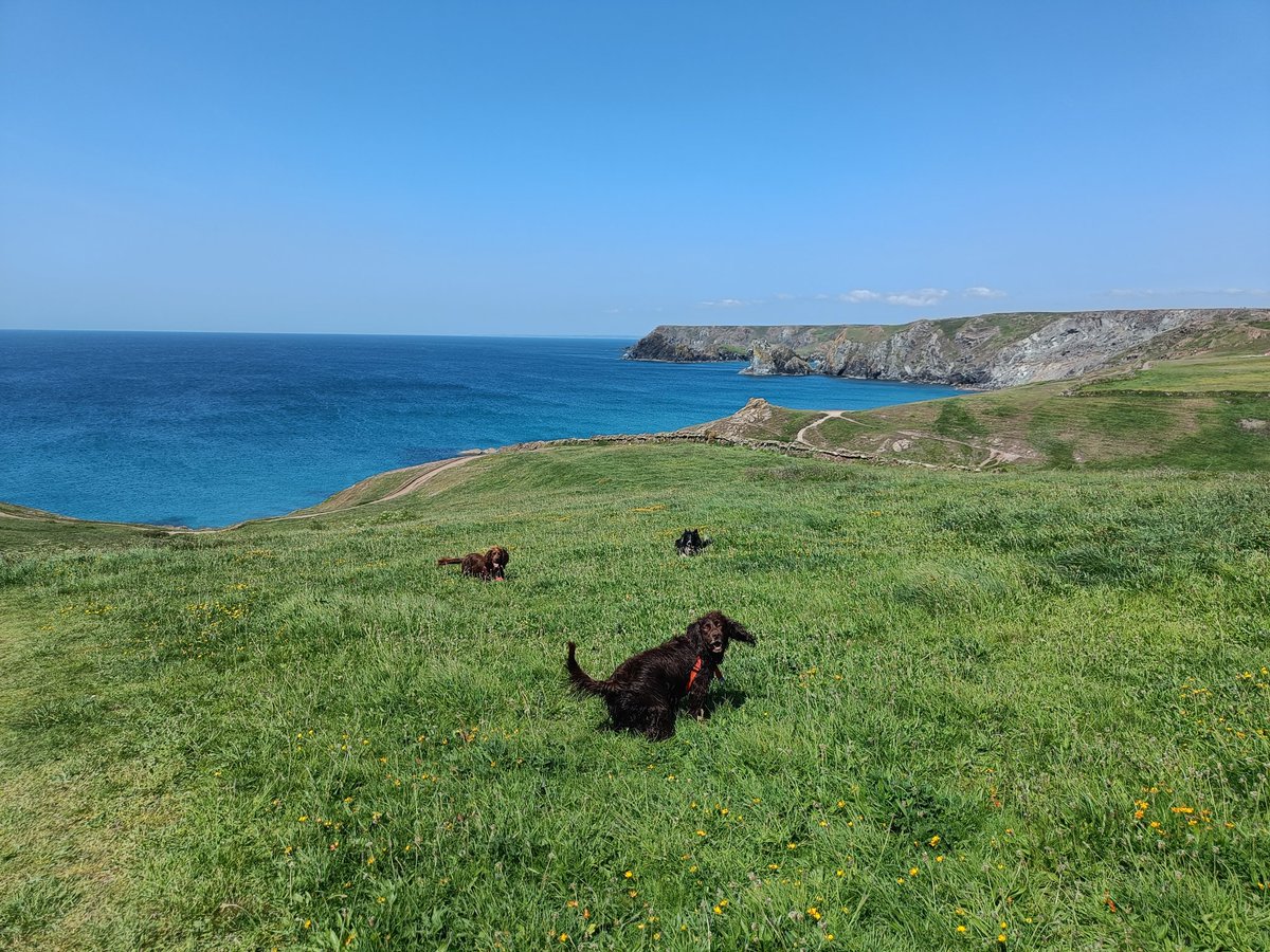 Rob Edlin tweet media