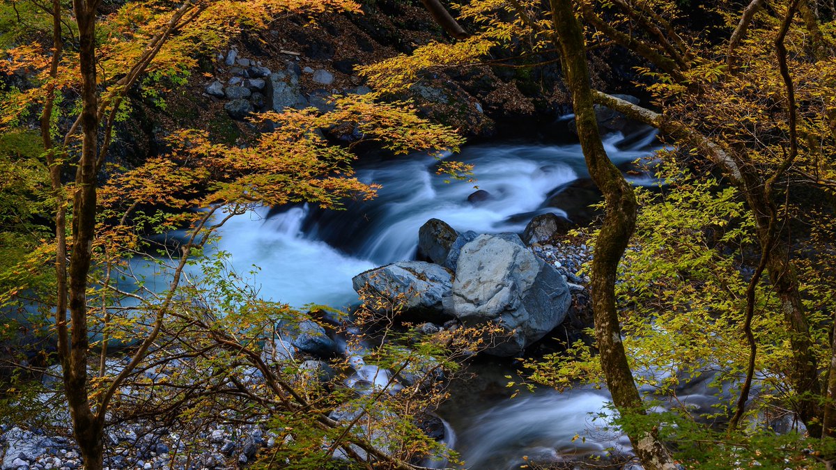 lashawnavyl's tweet image. 💏🏢 Find joy in the simple things in life.