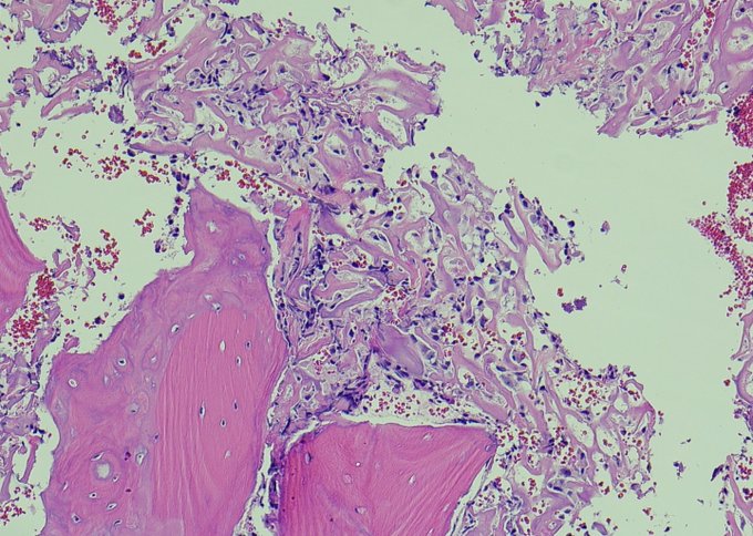 Maryland Society Of Pathologists tweet media