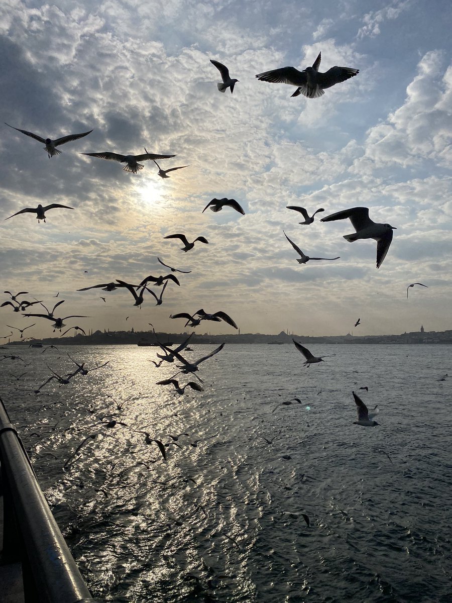 Büşra tweet media