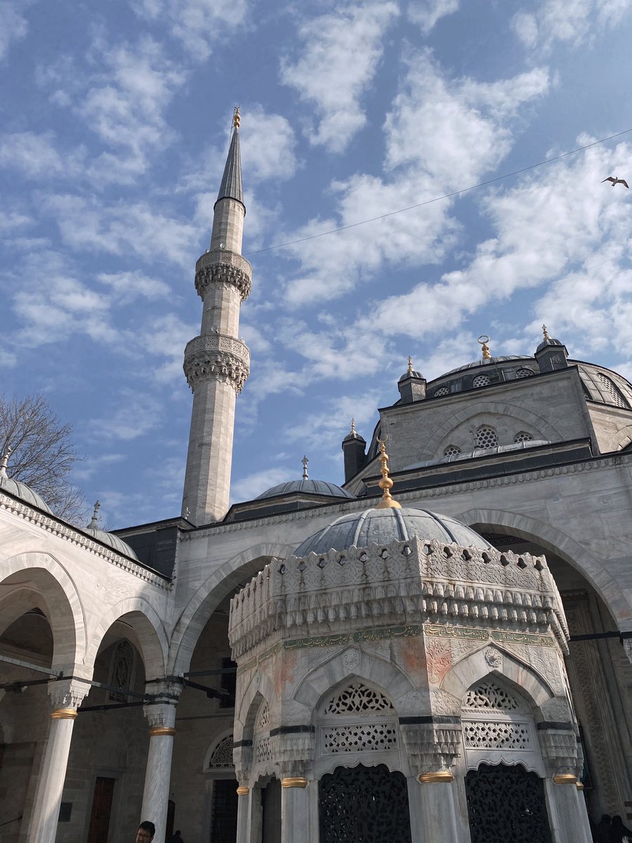 Büşra tweet media