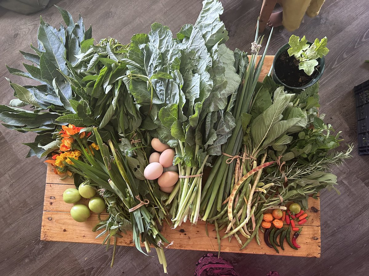 So thankful to be able to shop for my groceries out of the Cuzzos garden! Can’t wait until they are able to offer this service to others. @MoonMeraki13 & @BeyMikael If any other Cuzzos have offerings from their gardens, I would love to shop with yawl. I’m done with the stores.