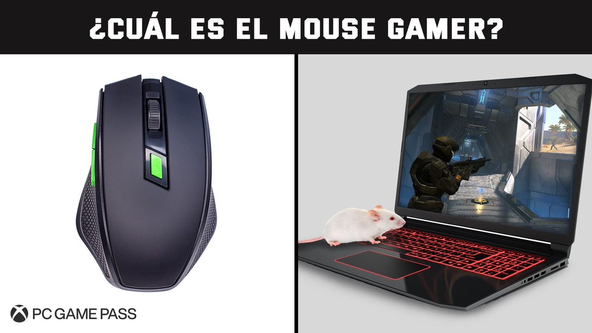 GamePassLATAM's tweet image. Profe: El examen va a estar fácil.
El examen: