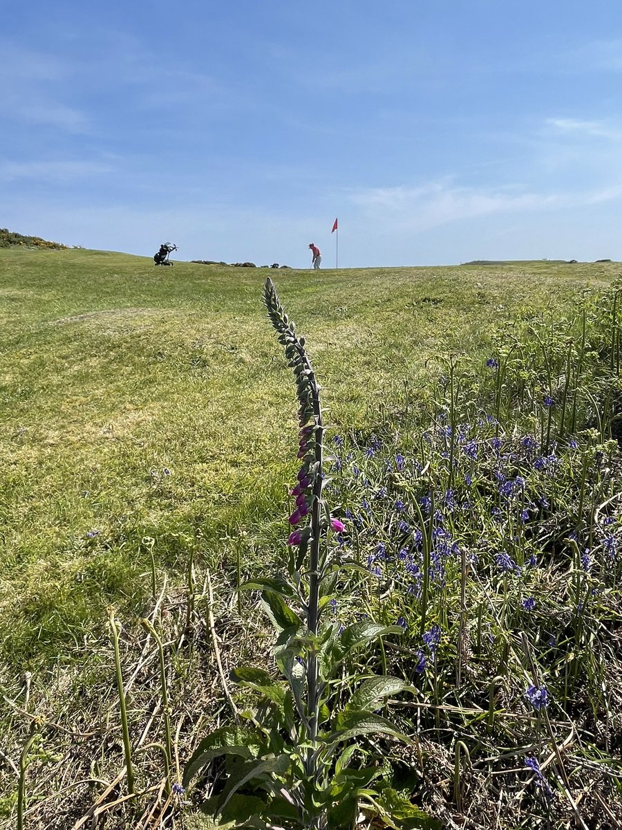 Roger Little tweet media