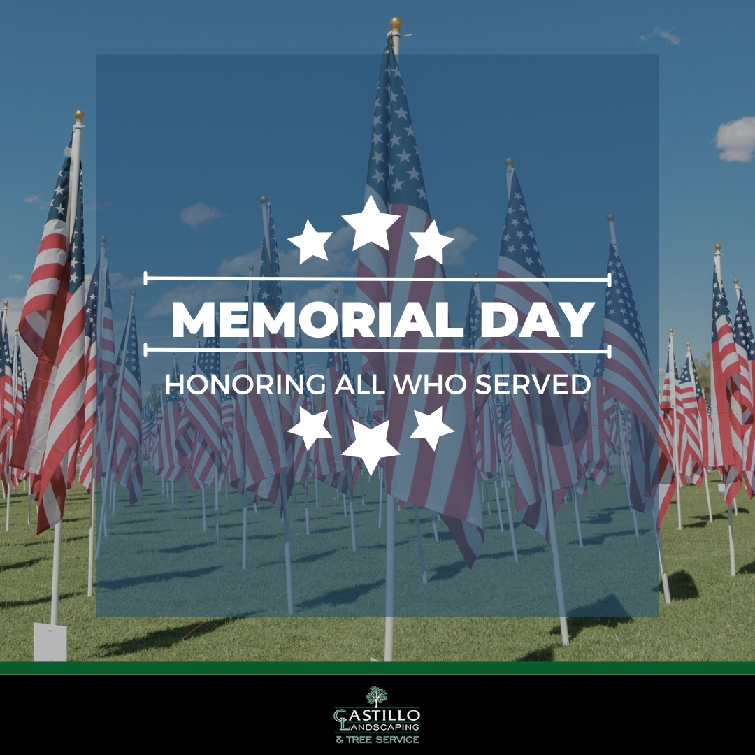 Celebrate freedom and remember those who fought for it🤍

#memorialday #memorialdayweekend #usa #stumpremoval #landscaping #treeservices #treeremoval #trees #treeservice #treecare #treetrimming #treecutting
