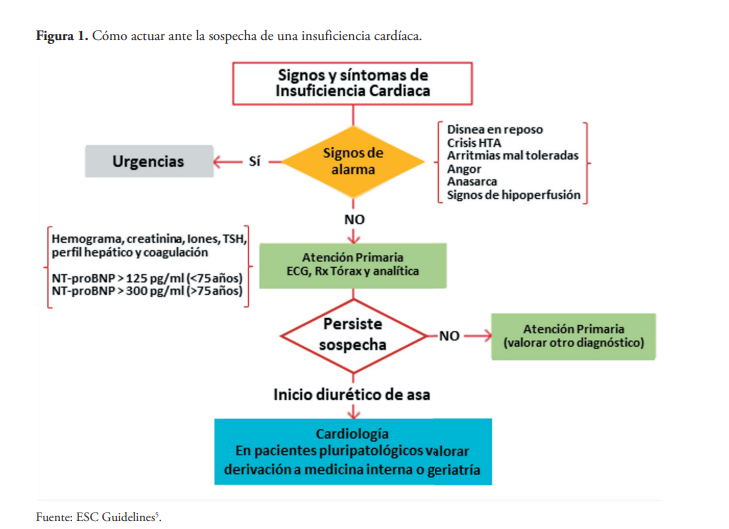 redGDPS's tweet photo. 📚La #insuficienciacardíaca ❤️‍🩹en #AtenciónPrimaria: organización y ruta asistencial.
✅Prevención
✅Diagnóstico Precoz
✅Tratamiento
✅Seguimiento y control de los síntomas

#DiabetesPractica #DPredGPDS

https://t.co/3ci3xO58SW https://t.co/UvVmXEne3G