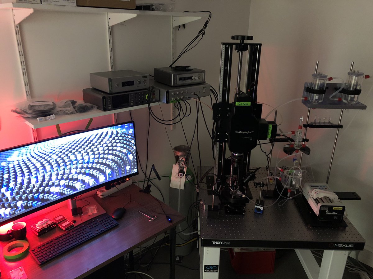 Optical mapping installation✅ checking hard and software ✅ first images from rat heart and mouse hearts 🔜 #opticalmapping #Epeeps #cardiac #arrhythmias @MappingLab_EP @institut_thorax