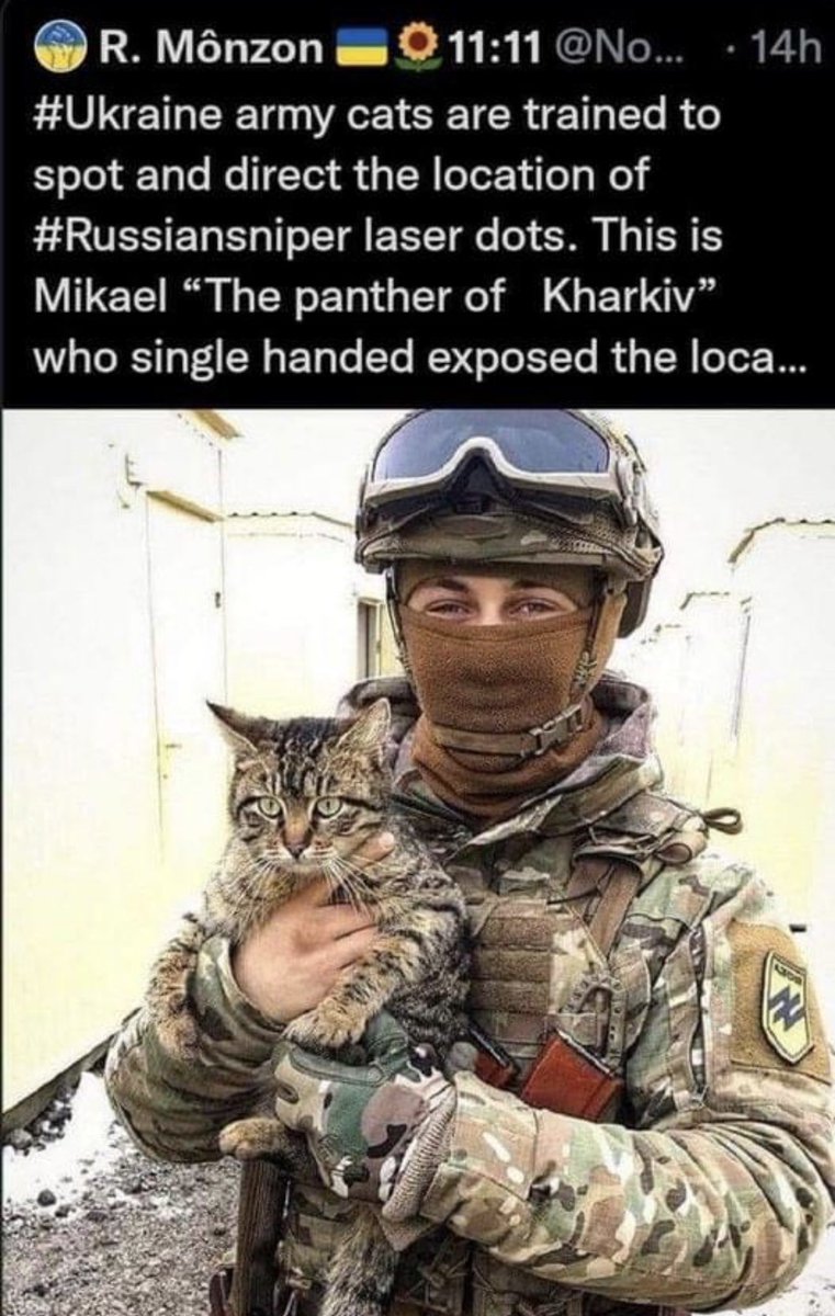 @imyourmoderator Bro, the ghost of Kiev and the panther of  Kharkiv is real! 🤣😂🤣👉🏻🤡🌍