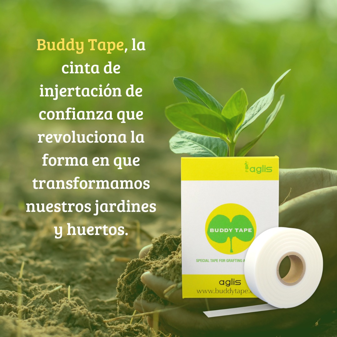 Cinta injerto Buddy Tape (biodegradable)