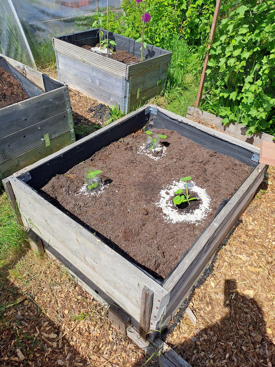 Helen Challis tweet media