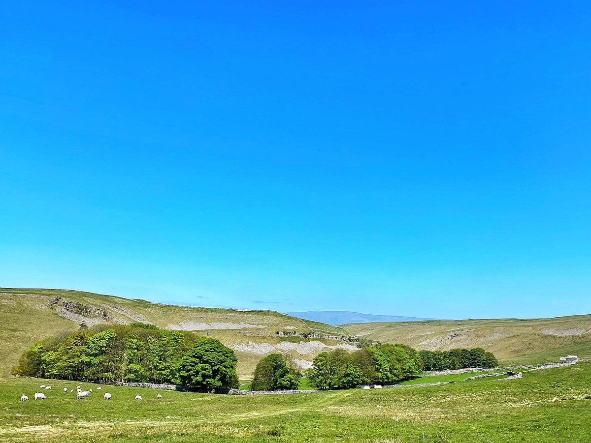 oldcrofthouse's tweet photo. A typically busy May Bank Holiday in one of our favourite places…
#BankHolidayWeekend #BankHolidayMonday #escapethecrowds #kirkbystephen #Cumbria @VisitEden #HiddenGems #westmorlanddales #perfectdestination #fellwalking #walking #spacetobreathe #yourownworld #notasoulinsight https://t.co/Ixv6yGU34m