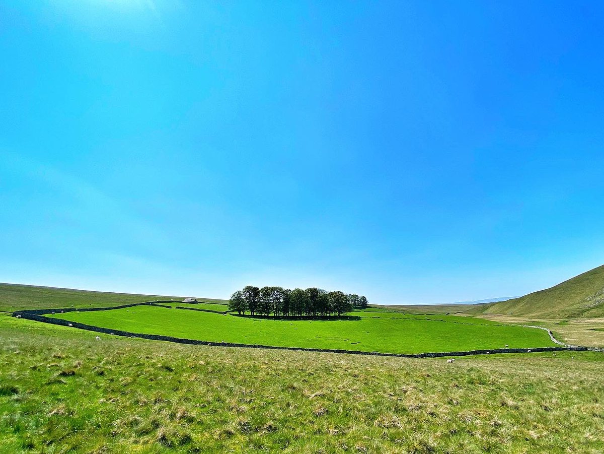 oldcrofthouse's tweet photo. A typically busy May Bank Holiday in one of our favourite places…
#BankHolidayWeekend #BankHolidayMonday #escapethecrowds #kirkbystephen #Cumbria @VisitEden #HiddenGems #westmorlanddales #perfectdestination #fellwalking #walking #spacetobreathe #yourownworld #notasoulinsight https://t.co/Ixv6yGU34m