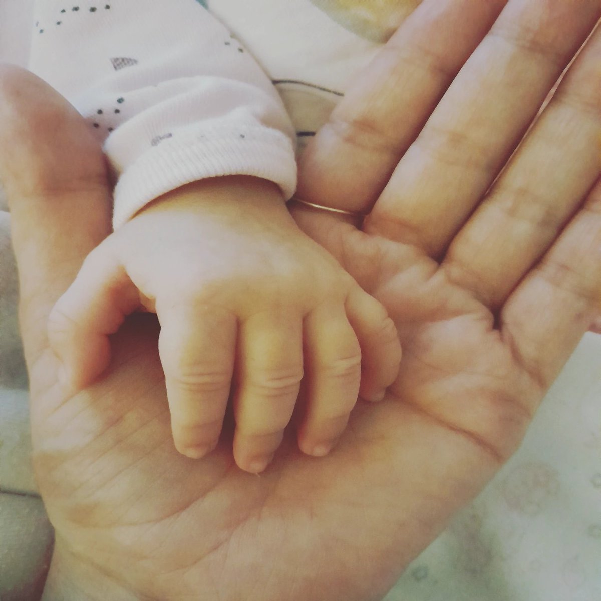 Dünya üzerindeki en platonik sevgi olduğu açık seçik ve de nettir. Korkudur, huzurdur, aşkların en güzelidir. Korkarsınız ya ona bir şey olursa diye, huzurdur onu uyurken seyretmek ve en güzeli de aşktır hiç azalmayan ve terk etmeyen...
#Evlat 🥰
#Elif 😘