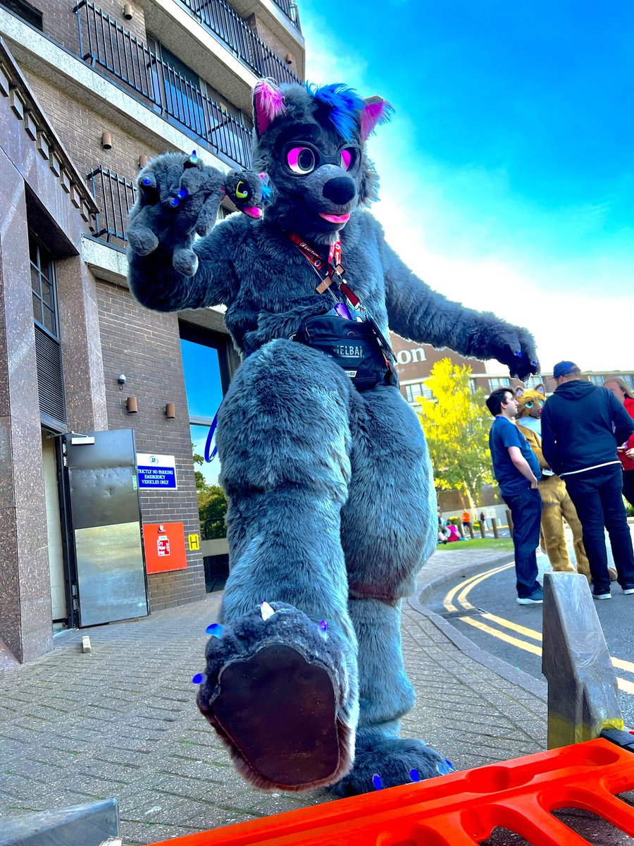 LJFletcherBSc's tweet photo. MUSSSTโฆDESTROYYYYY!!
@cfconvention #Confuzzled23 #CFz23 https://t.co/ly8VC0yT6u