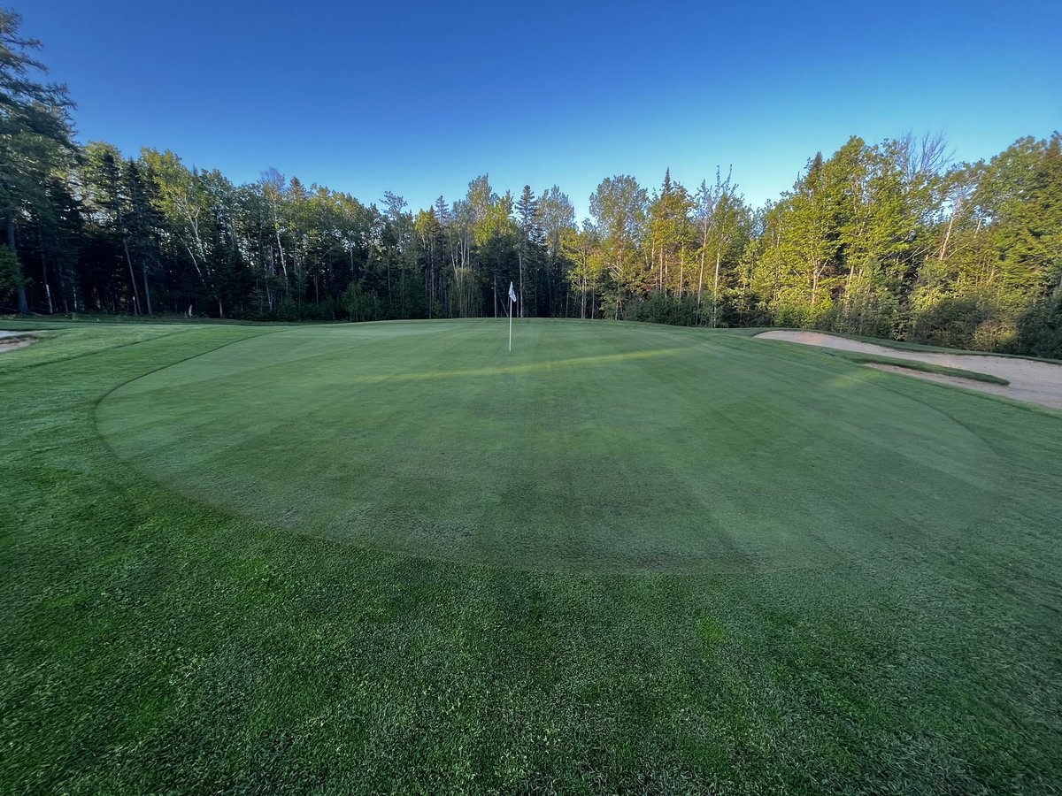 After a brutal spring here’s some some weather to work with!!!   The staff had been working hard in very poor weather and our efforts are finally paying off.  Here’s 3 green April 15, May 10 and Yesterday.  Stay tuned as we move forward with the other temps! <a href="/WestHillsGC/">WestHillsGolf</a>