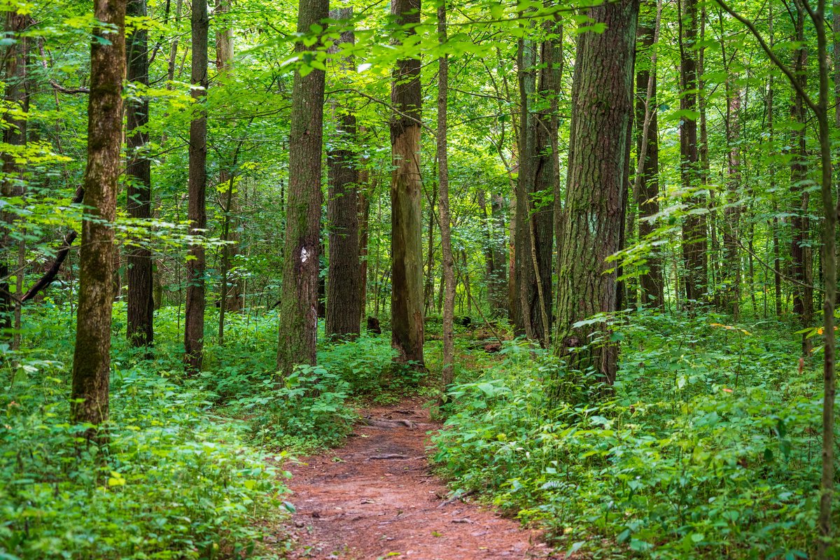 🫶🏽May is #MentalHealthAwarenessMonth🫶🏽 
Time spent outdoors improves self-awareness, self-esteem, self-concept &amp; the ability to recover from stressful episodes. It also reduces negative feelings such as anger, fear, anxiety &amp; frustration.