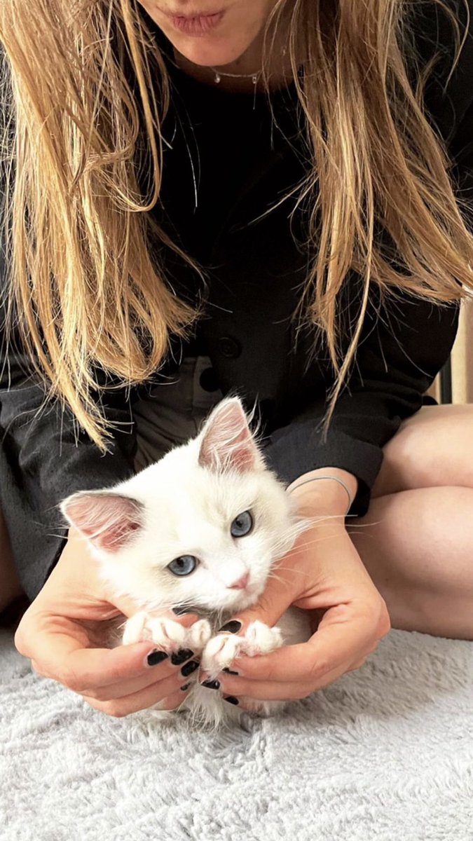 Sophiexdaniel's tweet photo. Look what I found, isn’t this just adorable

#cat #Monday #chill #pussy #outdoor #sun https://t.co/DHcrKiyO2f