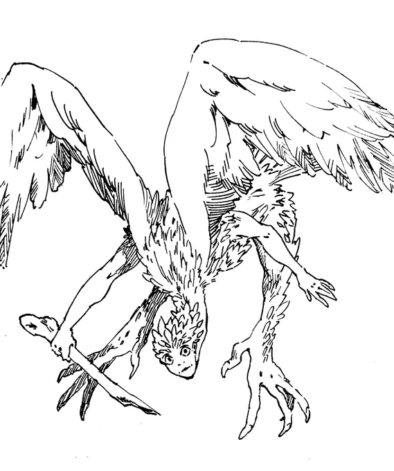rewatching @mimzatweets 's dnd monster drawing challenge VOD from the beginning and scribbling some guys I missed out on. only followed one out of three rules (no looking at the official art) for these lol  in order: harpy - cockatrice - dolgrim