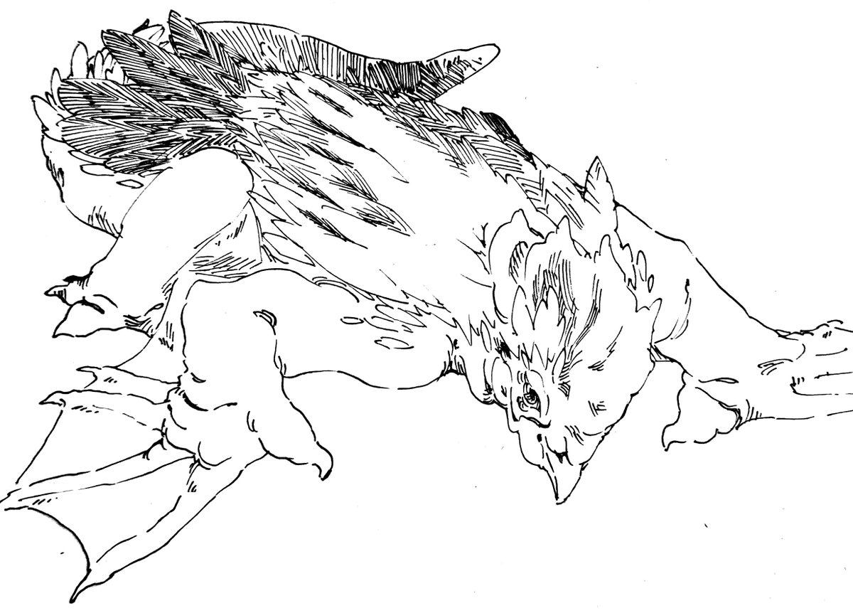 rewatching @mimzatweets 's dnd monster drawing challenge VOD from the beginning and scribbling some guys I missed out on. only followed one out of three rules (no looking at the official art) for these lol in order: harpy - cockatrice - dolgrim