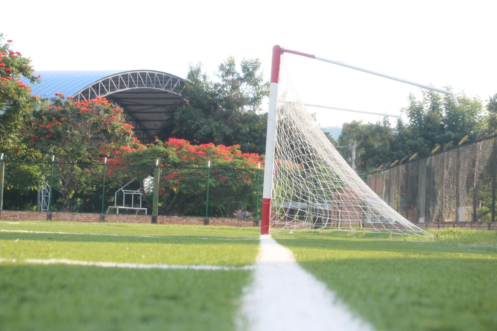 Milénio Stadium - Edição 1536 - 2021-05-14 by Milénio Stadium - Issuu