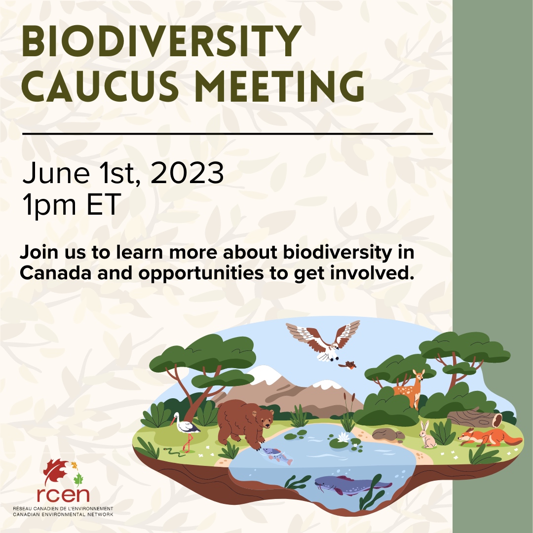 The Biodiversity Caucus will be having a meeting this Thursday at 1 PM ET!
⁠
Those interested in attending can email outreach@rcen.ca for more information.

#environmentalissues #nature #environmentaleducation #biodiversity #CBD #UNbiodiversity #globalbiodiversityframework